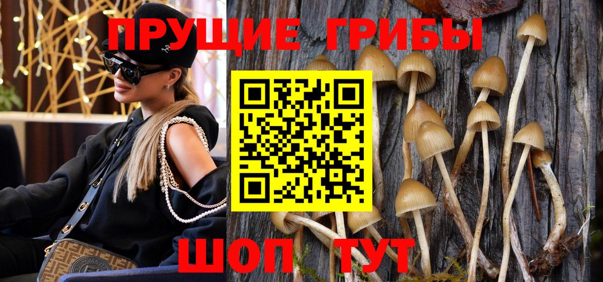 Псилоцибиновые грибы прущие грибы Медногорск