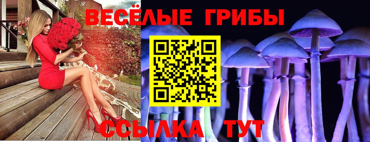 как найти закладки  Псилоцибиновые грибы Psilocybe  Вход с VPN  Медногорск 